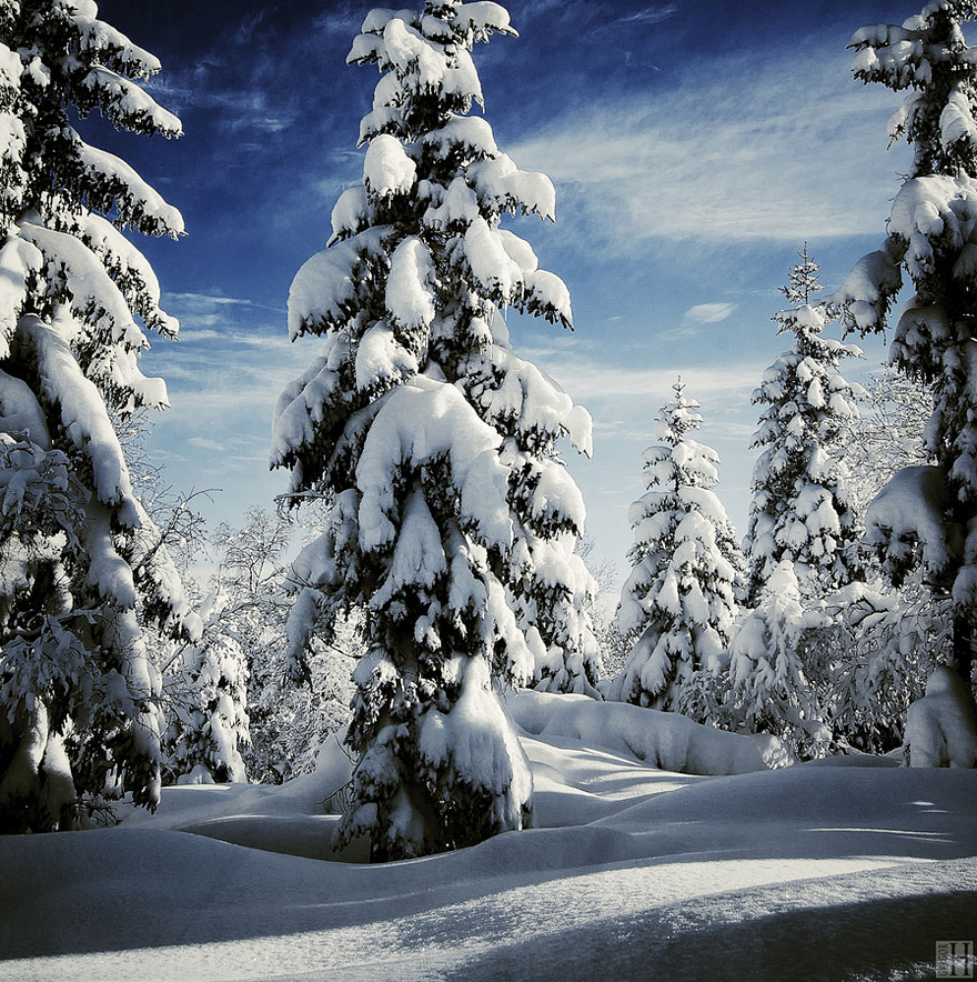 Gorgeous-Winter-Landscapes-12[1]