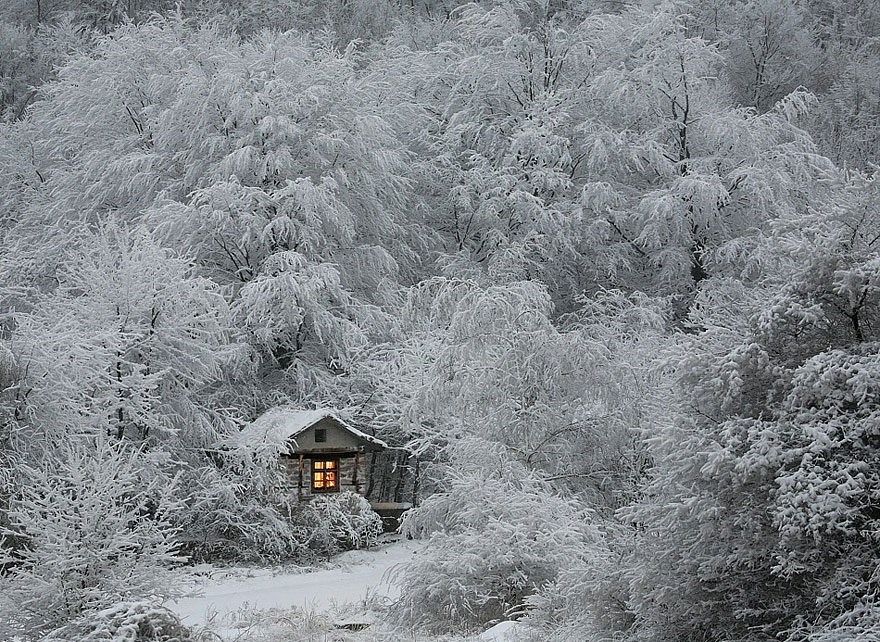 Gorgeous-Winter-Landscapes-5[1]